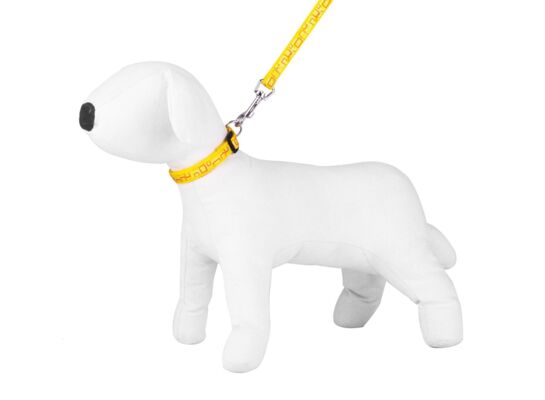 Komplet smycz obroża NT żółte 2,5 cm SZ44