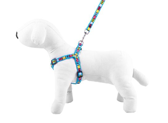 Komplet smycz szelki NT kwadrat 2,5 cm SK54