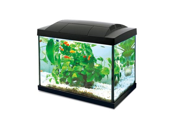 Akwarium K20 Hailea, 20 l czarne