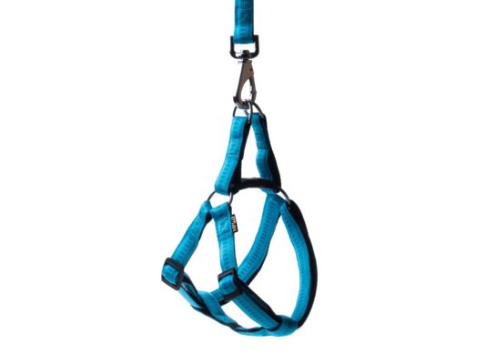 Szelki Soft Style turkusowe S 1,0 cm