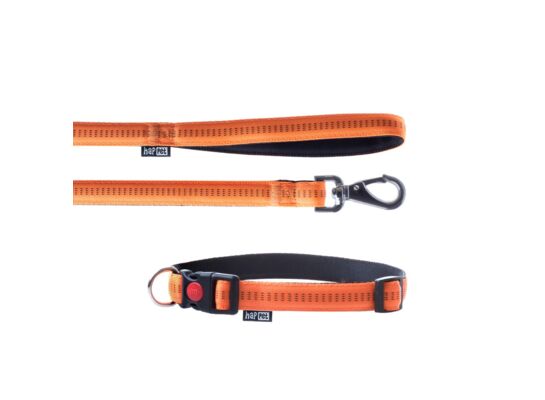 Smycz + obroża Soft Style pomarańcz L 2cm