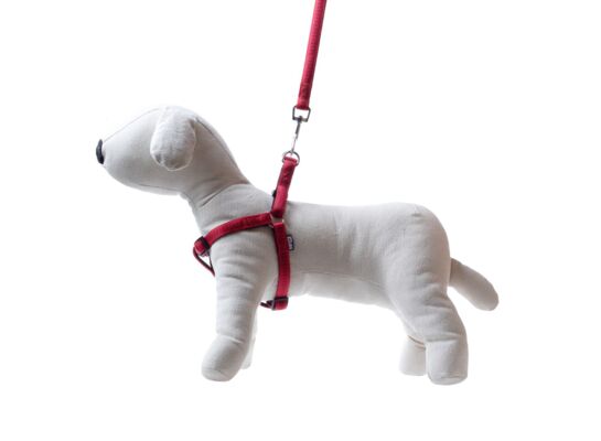 Smycz + szelki Soft Style czerwony XL 2,5 cm