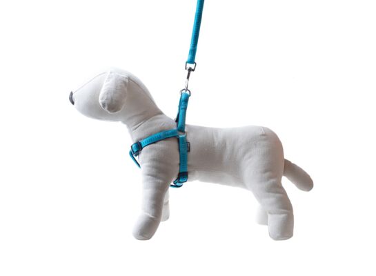 Smycz + szelki Soft Style turkus M 1,5 cm