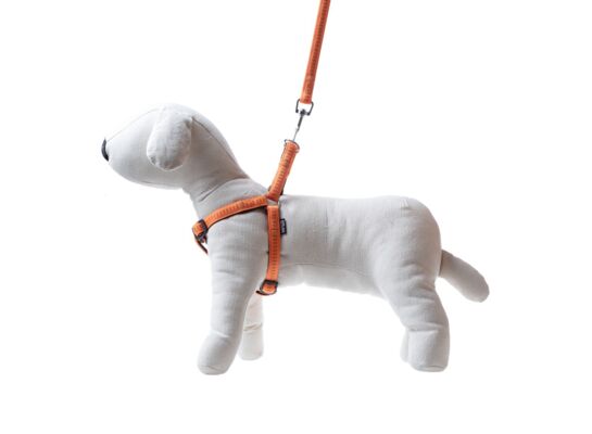 Smycz + szelki Soft Style pomarańczowe S 1 cm