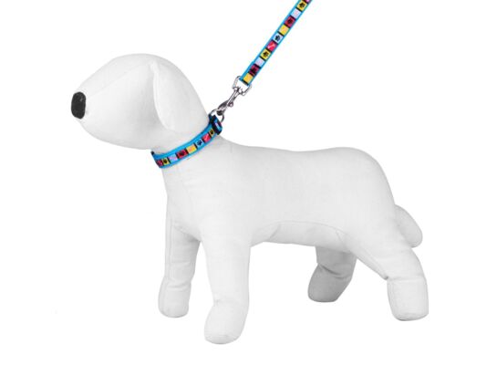 Komplet smycz obroża NT kwadrat 2,5 cm SK44