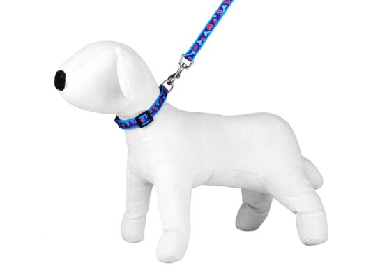 Komplet smycz obroża fioletowe serce kość 2, 5cm S144