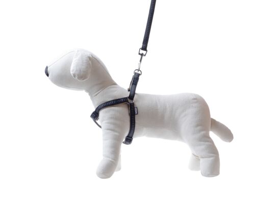 Smycz + szelki Soft Style czarne XL 2,5 cm