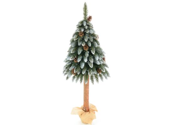 Jodła diamentowa z szyszkami na pniu 100 cm