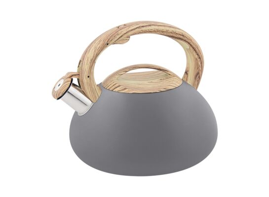Czajnik Deneris 2,5 l szary
