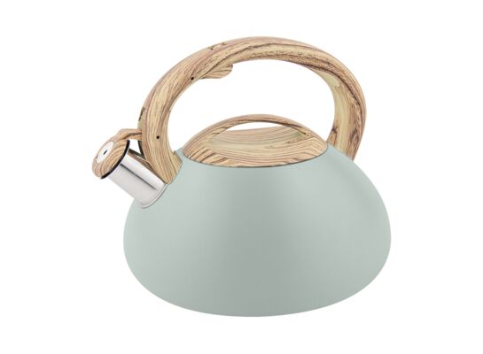 Czajnik Deneris 2,5 l zielony