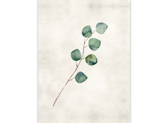 Obraz DECOBOX 50 x 70 cm płótno 5070,003 gałązka