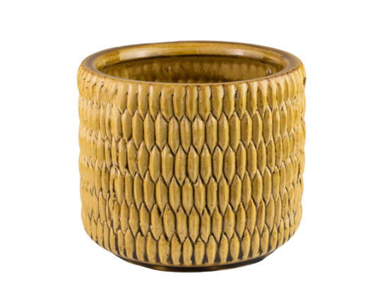 Donica DULCE żółta M