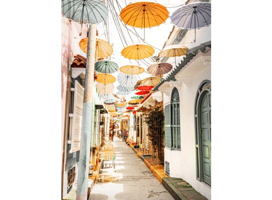 Obraz CANVAS 60 x 80 cm ST609 UMBRELLA