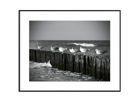 Obraz 40 x 50 cm DB4050,074