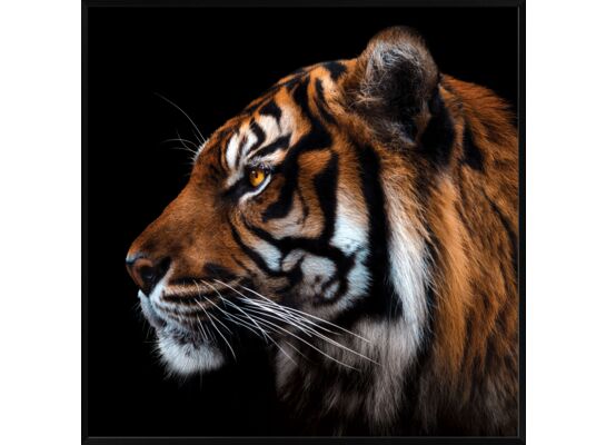 Obraz 20 x 20 cm DB2020,078