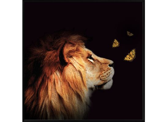 Obraz 20 x 20 cm DB2020,079