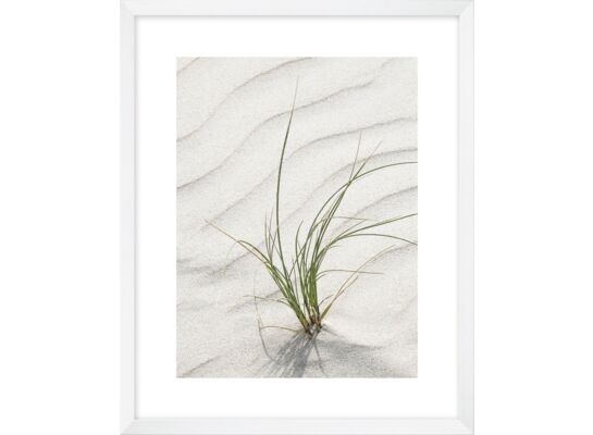 Obraz 40 x 50 cm K4050,263 plexi