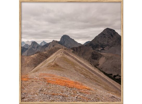 Obraz 20 x 20 cm DB2020,086