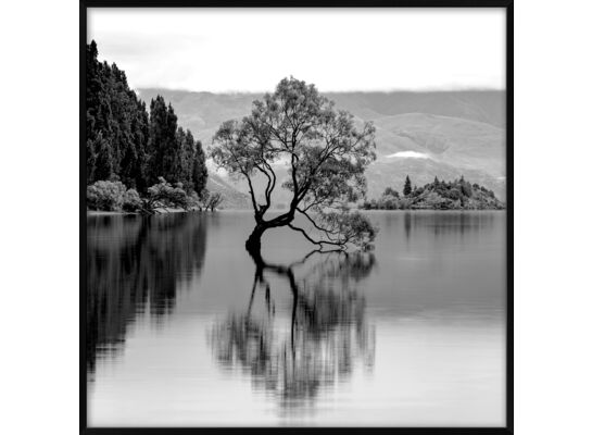 Obraz 20 x 20 cm DB2020,087