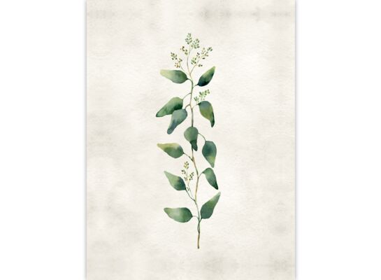 Obraz 50 x 70 cm płótno 5070,001