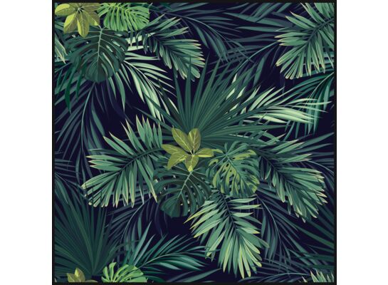 Obraz DECOBOX 50 x 50 cm DB5050,003