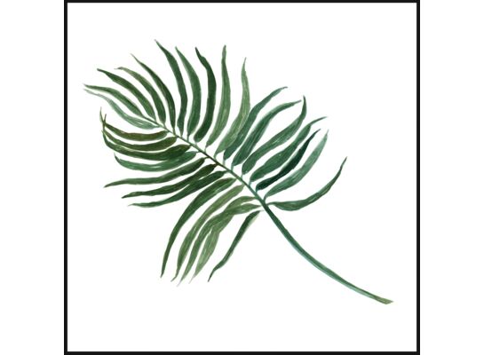 Obraz DECOBOX 50 x 50 cm DB5050,004