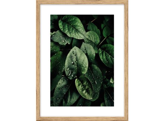 Obraz 30 x 40 cm K3040,045