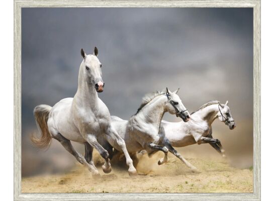 Obraz 40 x 50 cm K4050,005