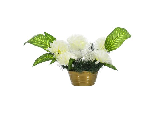 Kompozycja 5 chryzantem w donicy ecru