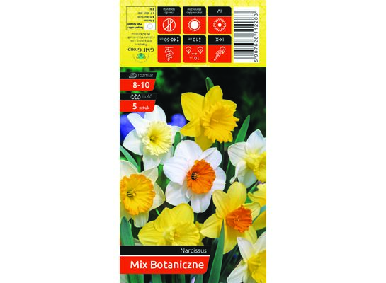 Narcyz botaniczny rozmiar 8-10 mix