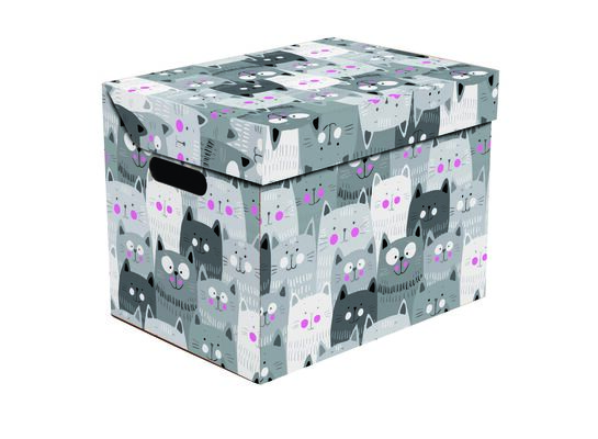 Pudło ONE Koty szare