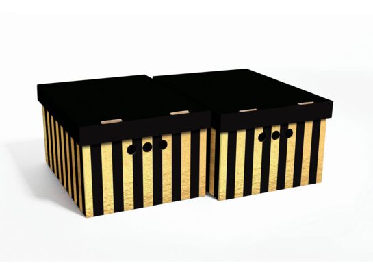 Pudło PASY Pion Złote czarny A4 2 sztuki