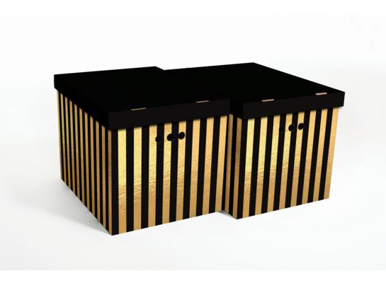 Pudło PASY Pion Złote czarny XL 2 sztuki