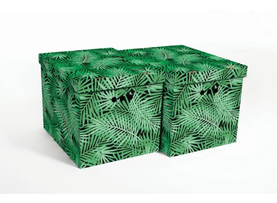 Pudło TROPIKAL zieleń XL 2 sztuki