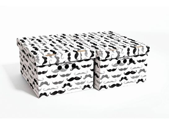 Pudło WĄSY A4 2 sztuki