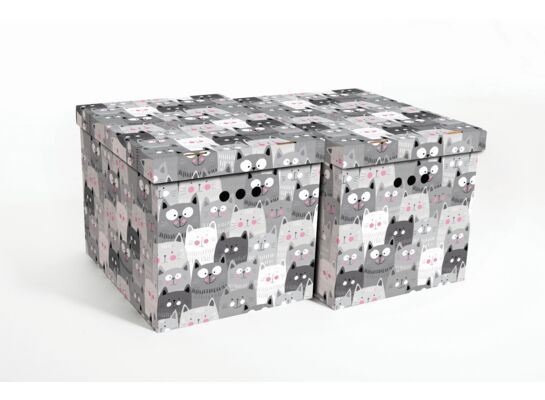 Pudło KOTY szare XL 2 sztuki
