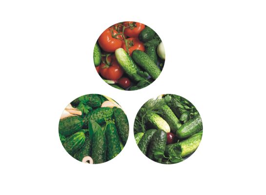 Komplet zakrętek ⌀66 4z ogórek 10 sztuk