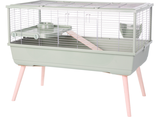 Klatka NEOLIFE 100 dla kawii domowej zielona ZOLUX