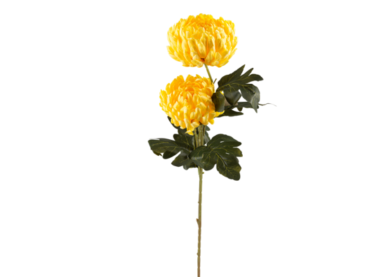 Pojedyncza chryzantema 72 cm mix