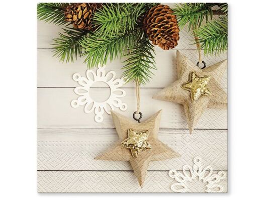 Komplet serwetek 33 x 33 cm Boże Narodzenie TL837000 20 sztuk