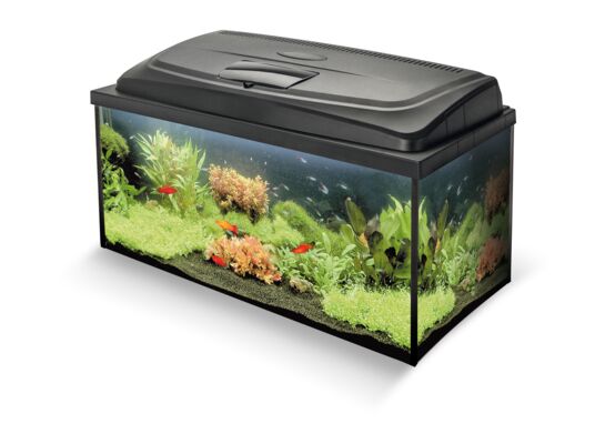 Zestaw akwariowy Aqua4Family 80/P Aquaszut