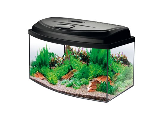 Zestaw akwariowy Aqua4start 60/O Aquaszut