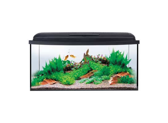 Zestaw akwariowy Aqua4start 60/P Aquaszut