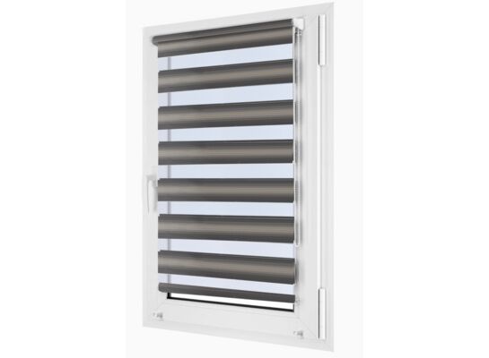 Roleta mini 56 x 150 cm DN36