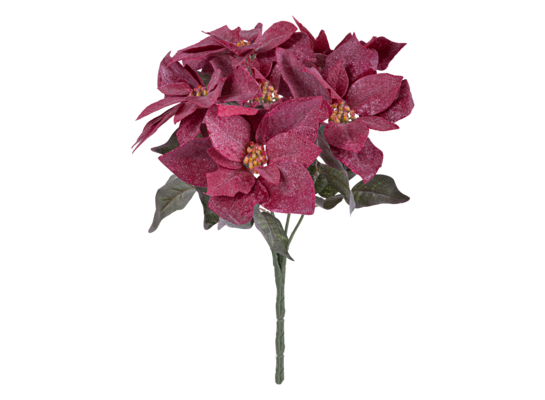 Bukiet 5 poinsecji ośnieżonych 50 cm