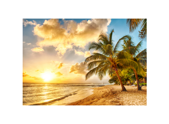 Obraz na płótnie 100 x 70 cm Plaża