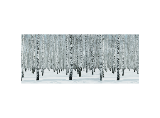 Obraz na płótnie 120 x 50 cm Las zimowy