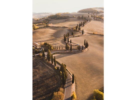 Obraz na płótnie 50 x 70 cm Toskania