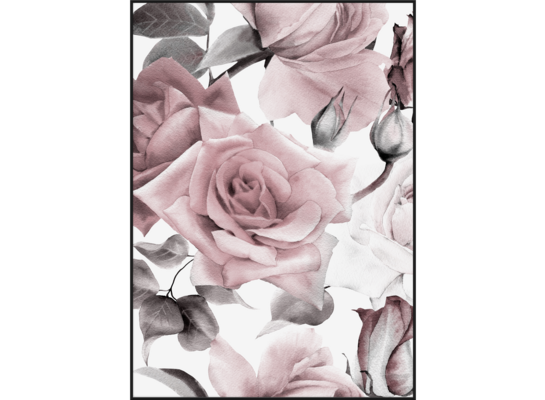 Obraz w czarnej ramie 50 x 70 cm Róże