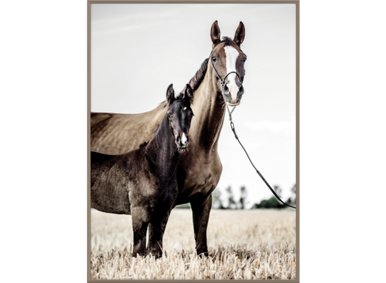 Obraz w drewnianej ramie 30 x 40 cm Koń